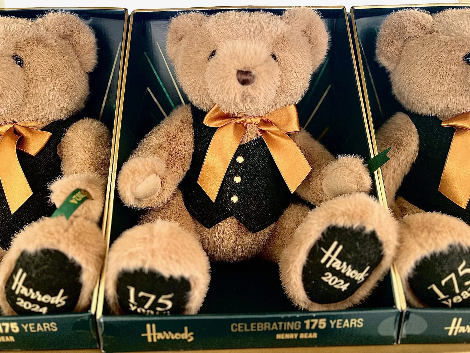 Anniversary Bear 2024 Henry