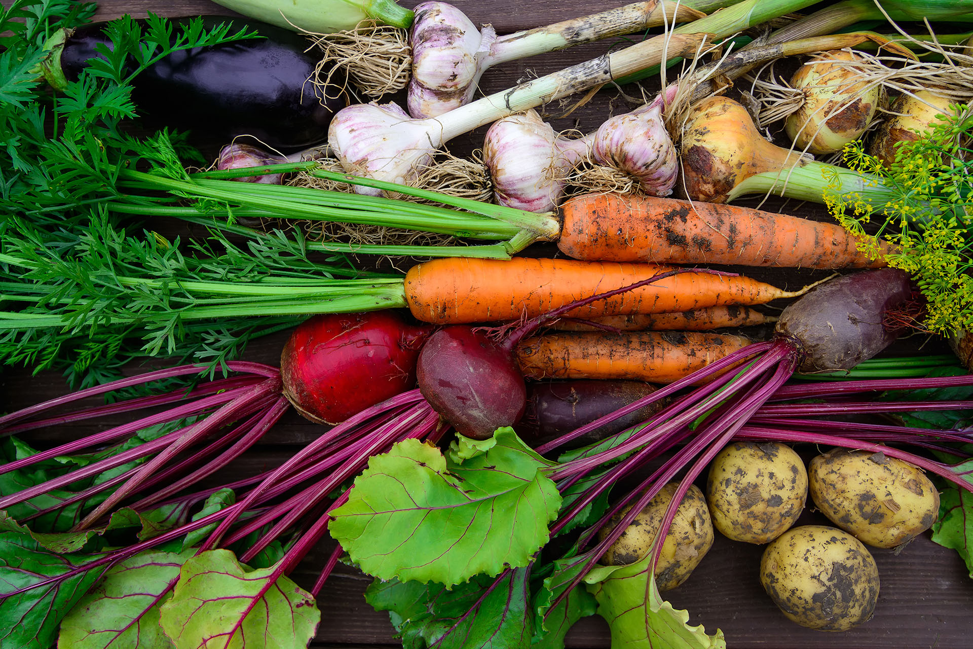 Organic Vegetables and Fruit