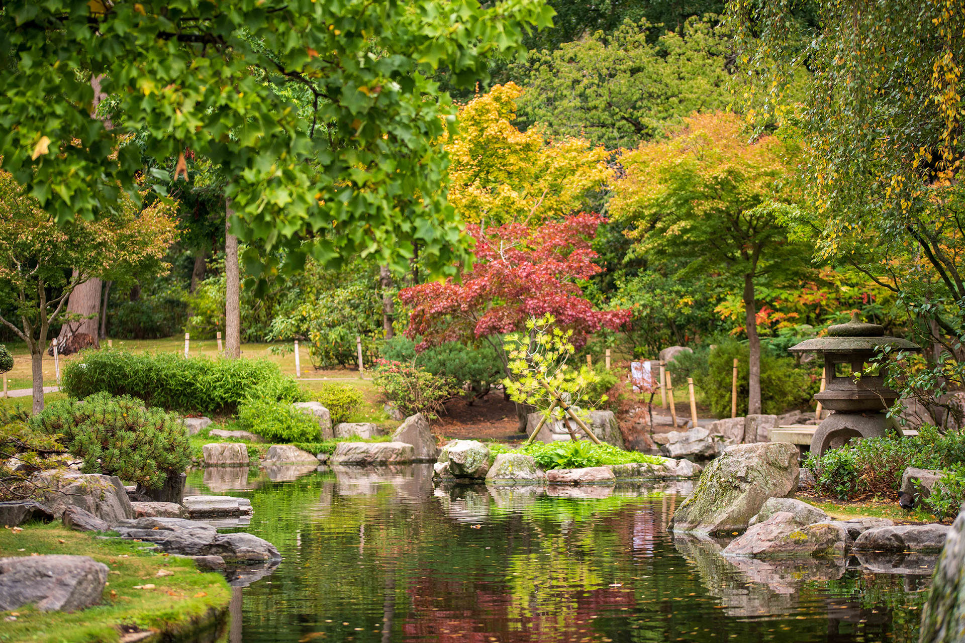 Kyoto Garden