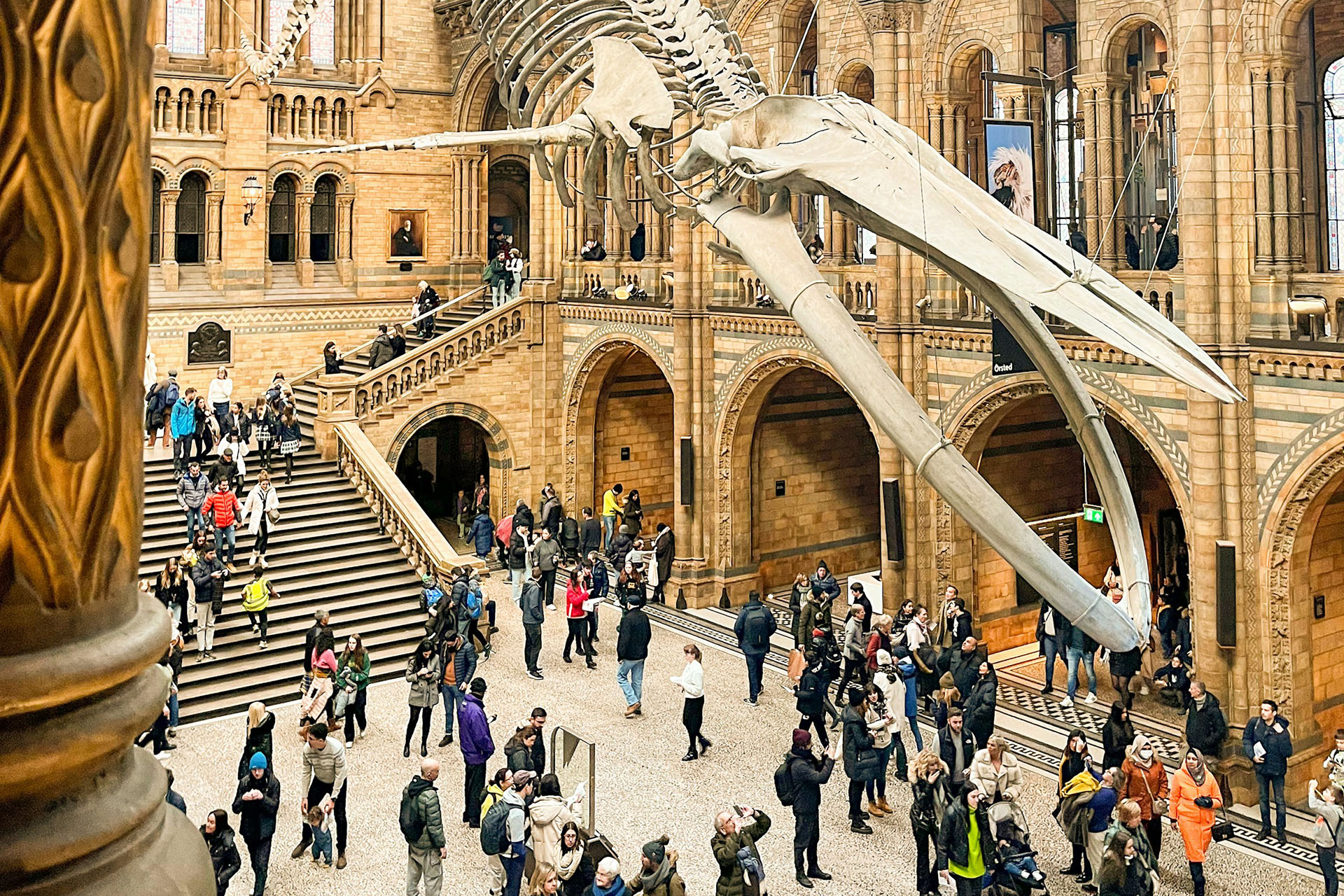 Natural History Museum